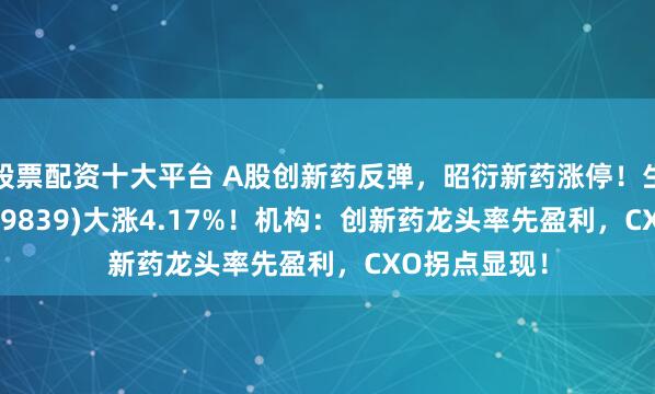 股票配资十大平台 A股创新药反弹，昭衍新药涨停！生物药ETF(159839)大涨4.17%！机构：创新药龙头率先盈利，CXO拐点显现！