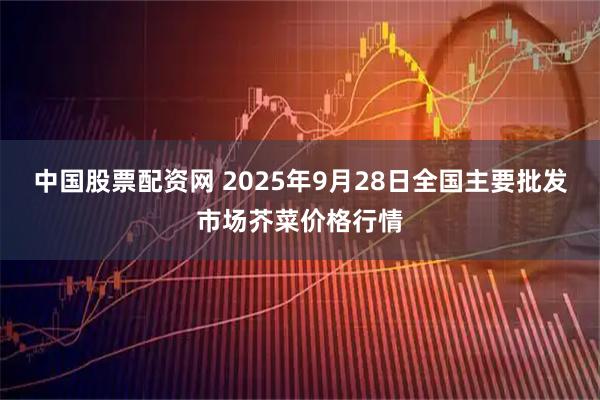 中国股票配资网 2025年9月28日全国主要批发市场芥菜价格行情